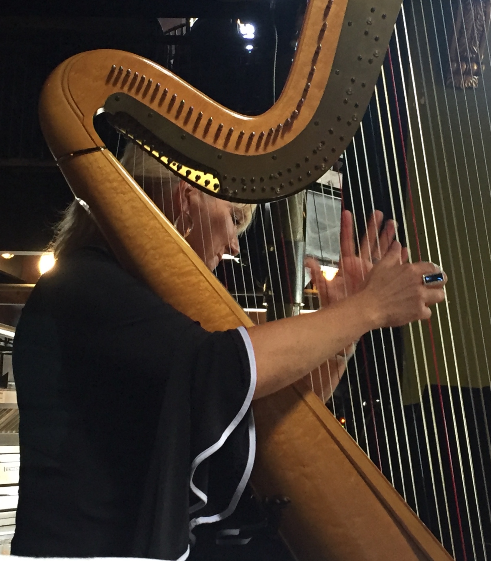 Harpist in Action Photo