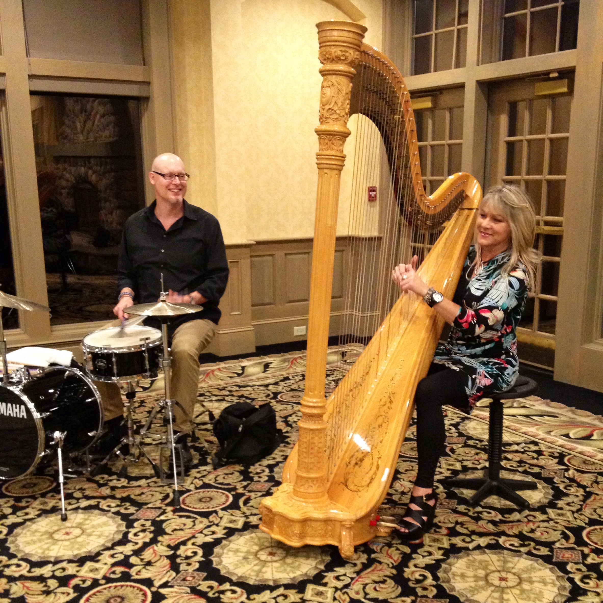 Church Harpist Minnesota