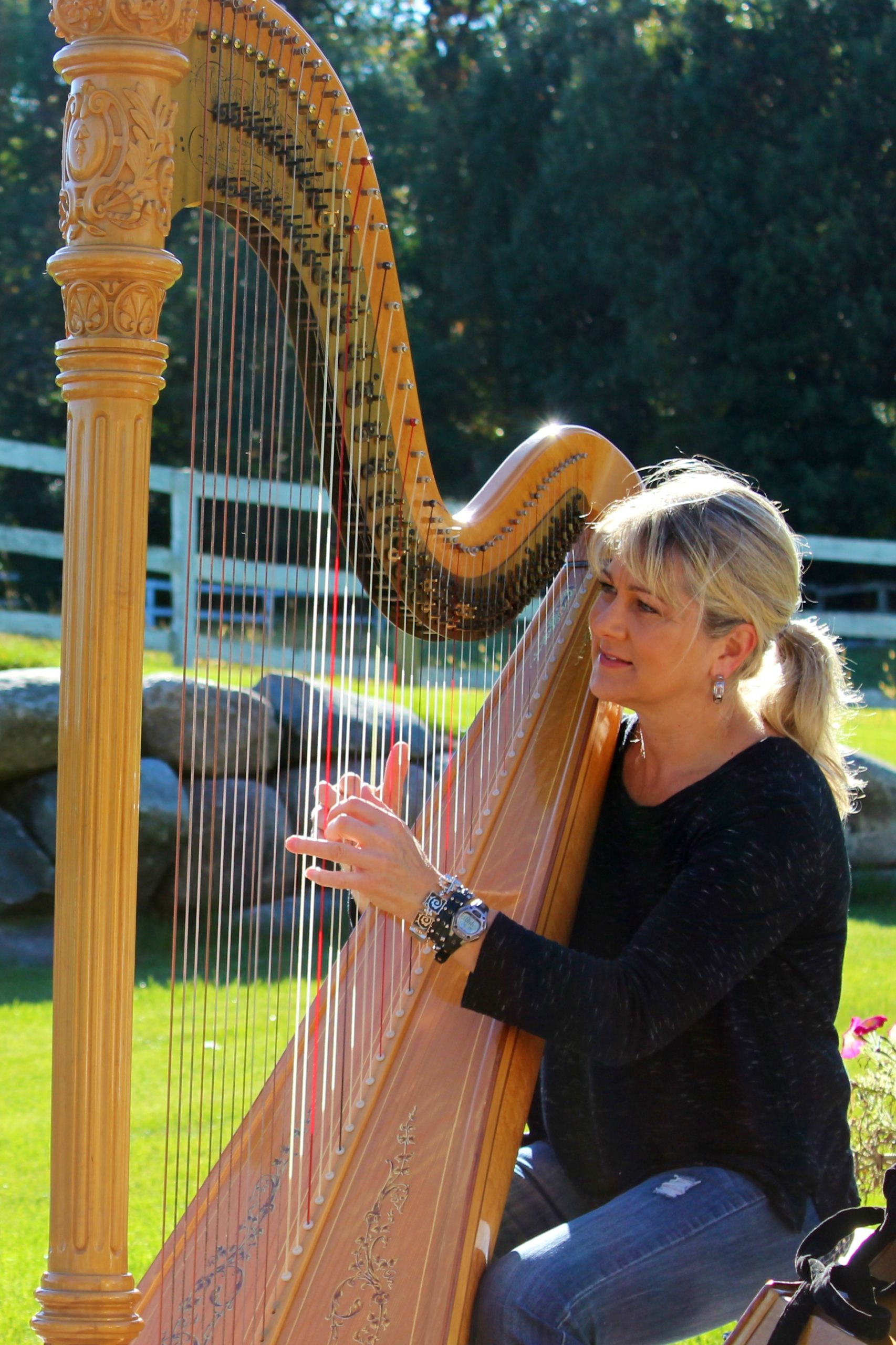 Beautiful Harp Player St Paul MN
